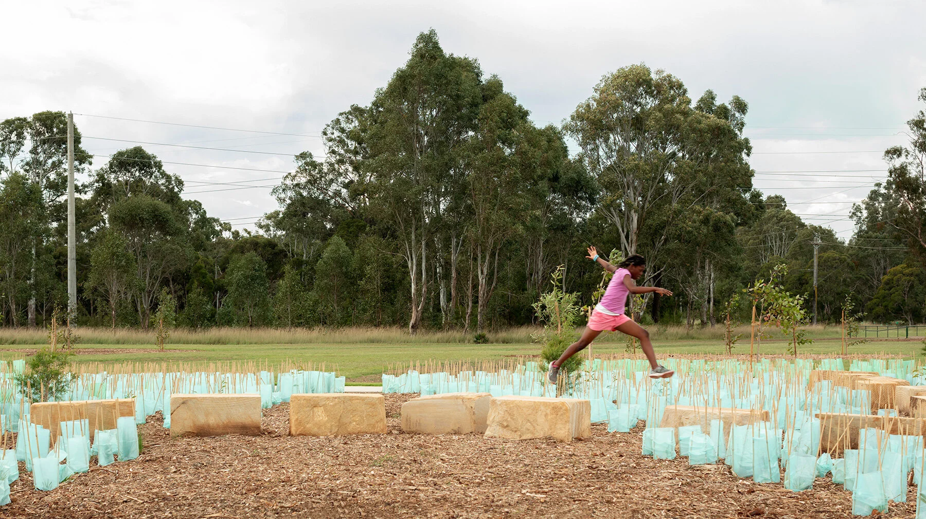 Robin_Wiles_Park_0005_LRS_16x9.jpg