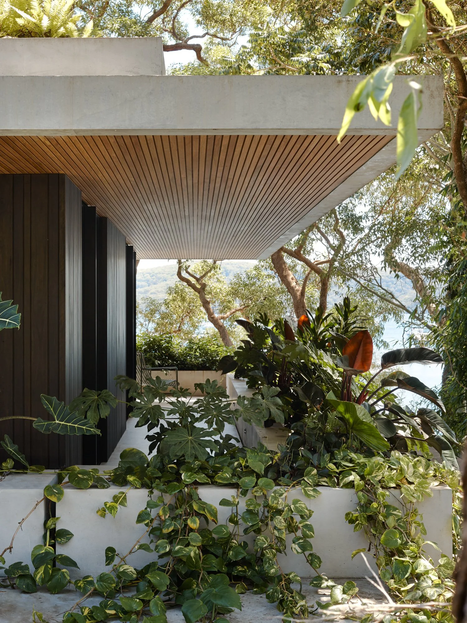 M-House-by-Rama-Architects-Issue-12-Feature-The-Local-Project-Image-34.jpeg