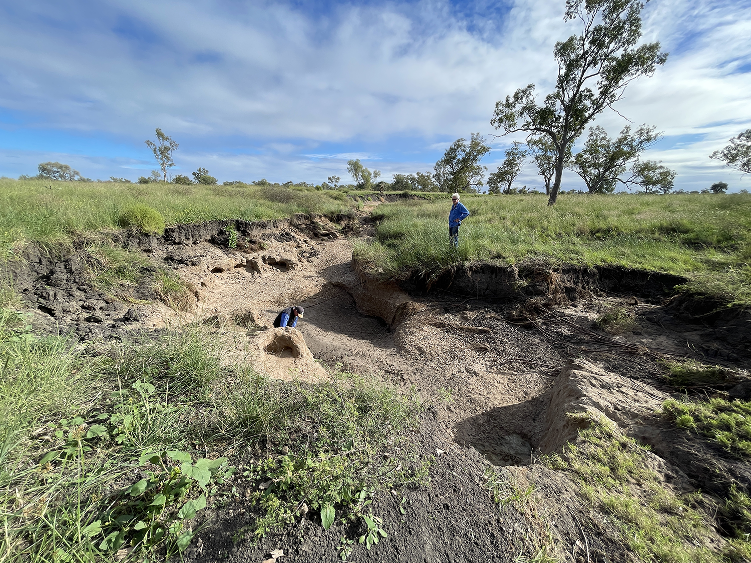 Natural Sequence Farming &amp; Regenerative Landscape Management