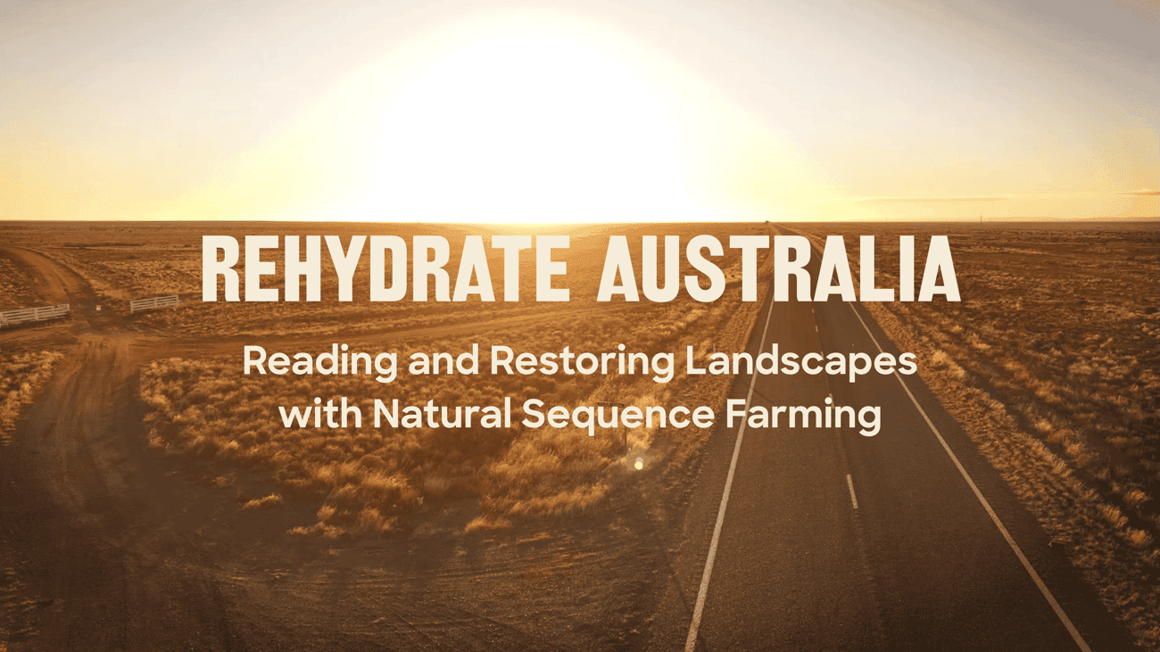 Watch the film REHYDRATE AUSTRALIA Reading &amp; Restoring Landscapes with Natural Sequence Farming
