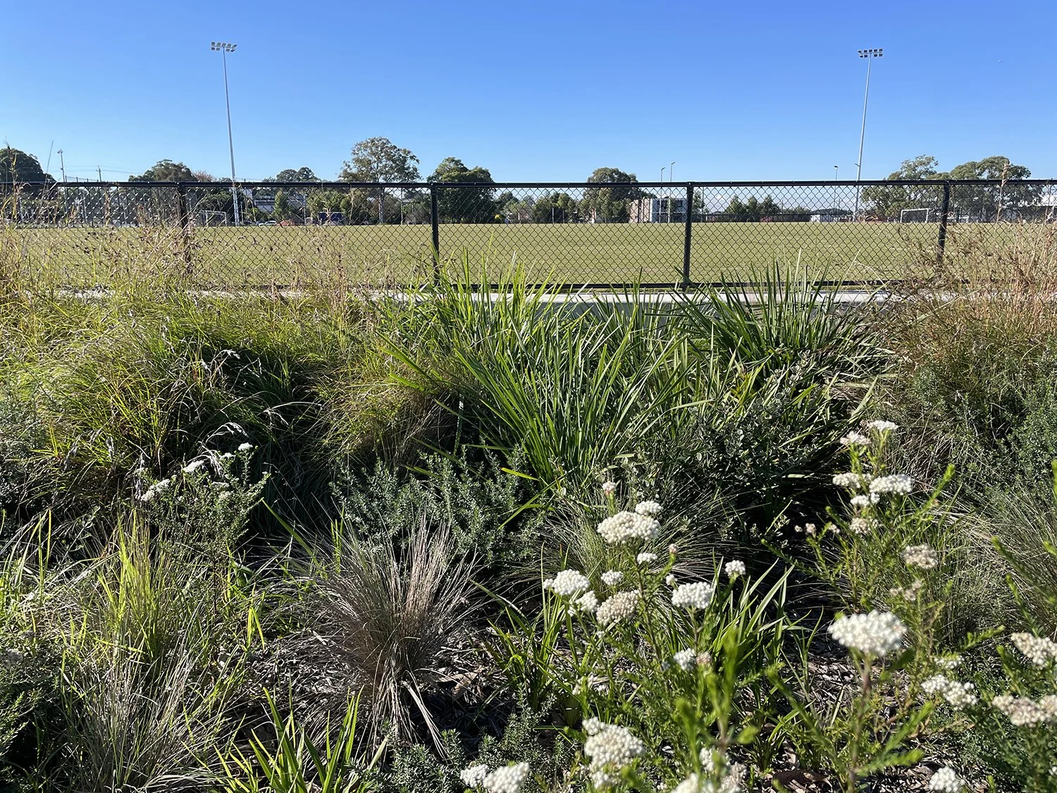 RydalmerePark_6.jpg