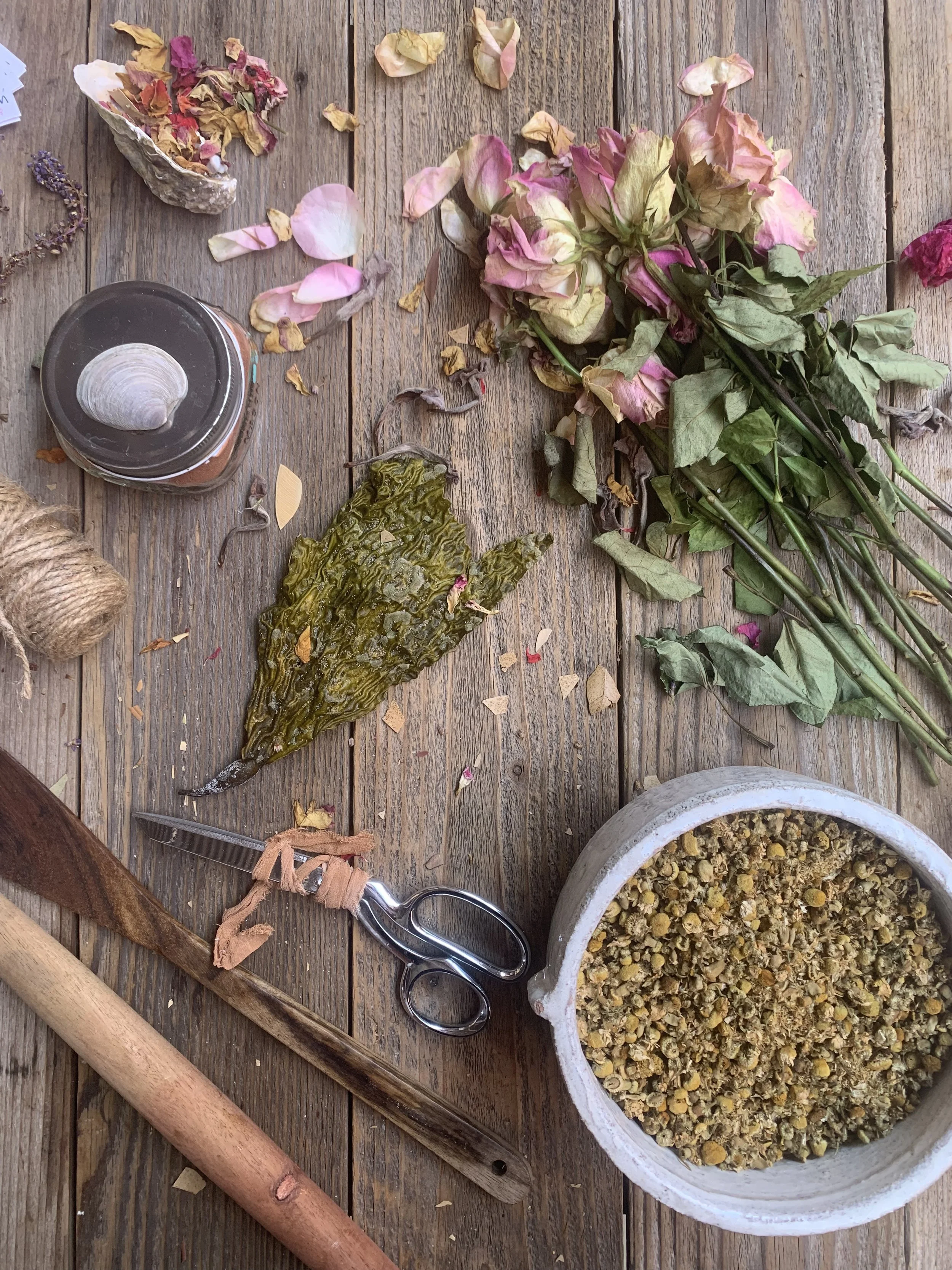 wild flora process .jpg