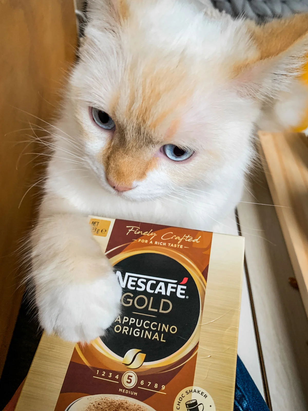 Nescafe_Louis-Cheeky_HELLO-MISS-MAY.jpg