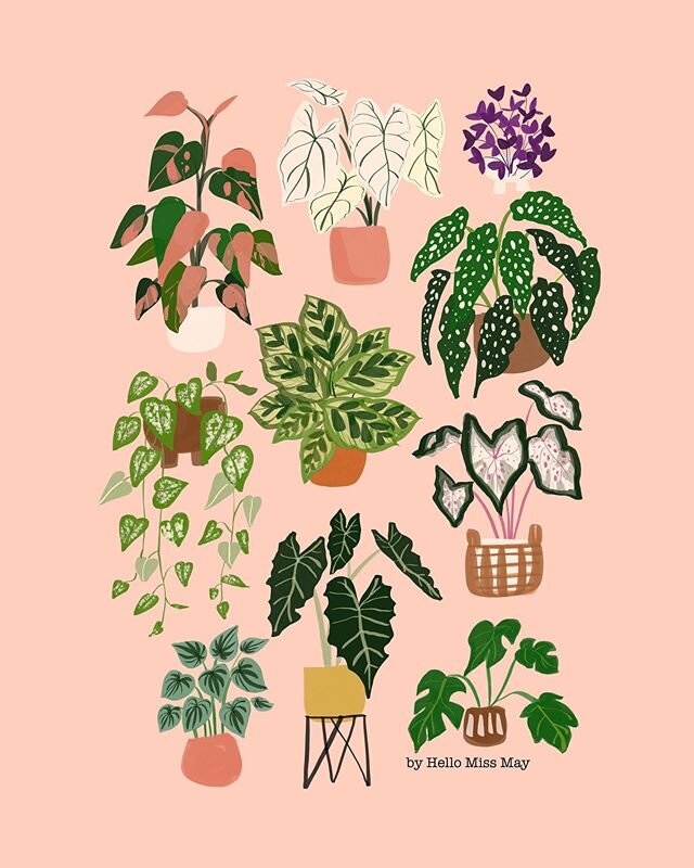 1 or 2? I&rsquo;ve been drawing planties all day and all week. Sometimes, I can&rsquo;t decide what background colour I should use... my heart says pink, but I&rsquo;m loving this olive green 😹 xx @byhellomissmay #helloplantlover