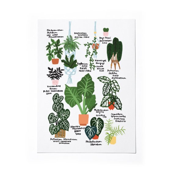 Plant Lover Guide IV by HELLO MISS MAY .jpg