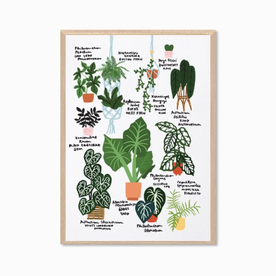 Plant Lover Guide IV by HELLO MISS MAY .jpg
