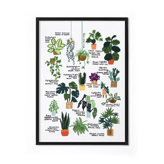 Plant Lover Guide I by HELLO MISS MAY .jpg
