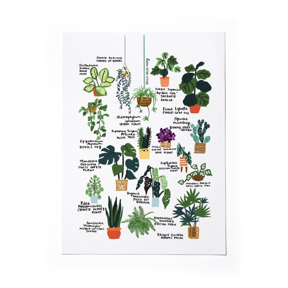 Plant Lover Guide I by HELLO MISS MAY .jpg