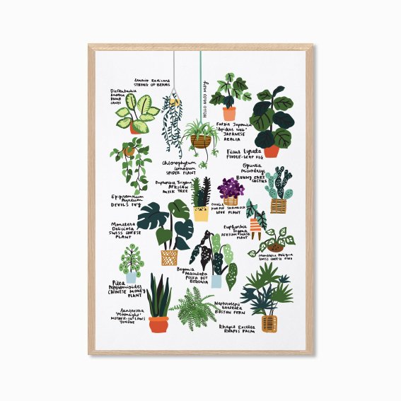 Plant Lover Guide I by HELLO MISS MAY .jpg