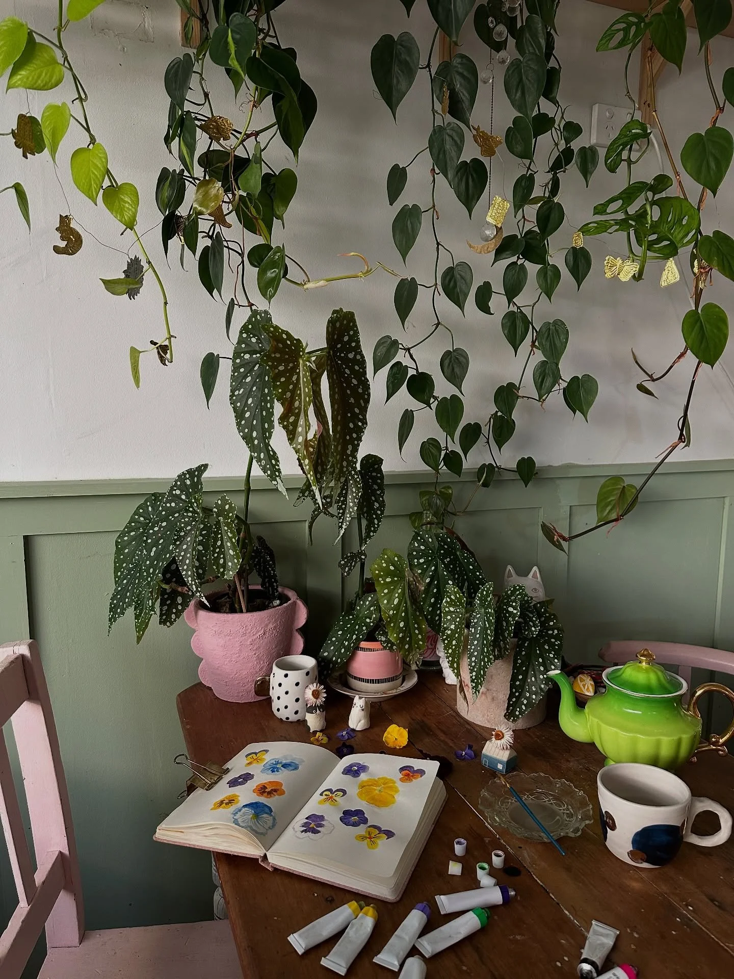 Pansies make me happy 🥰