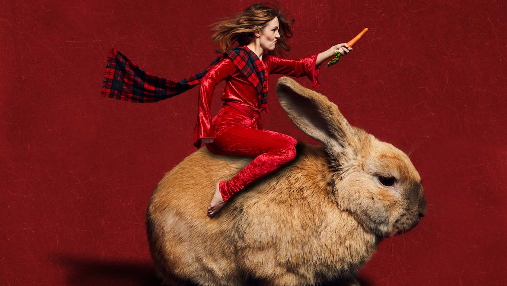 Run-Rabbit.jpg