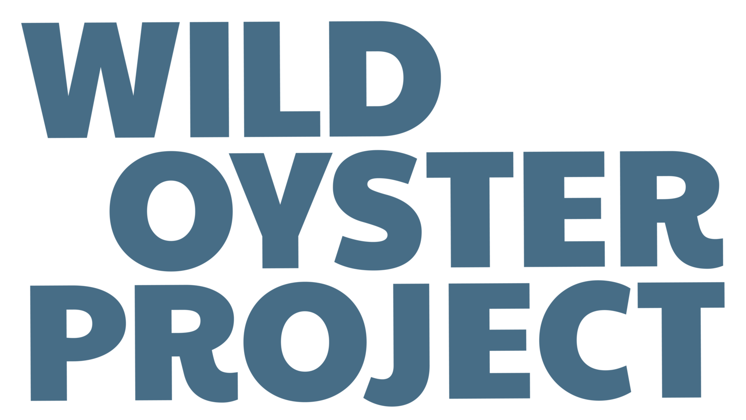 Wild Oyster Project