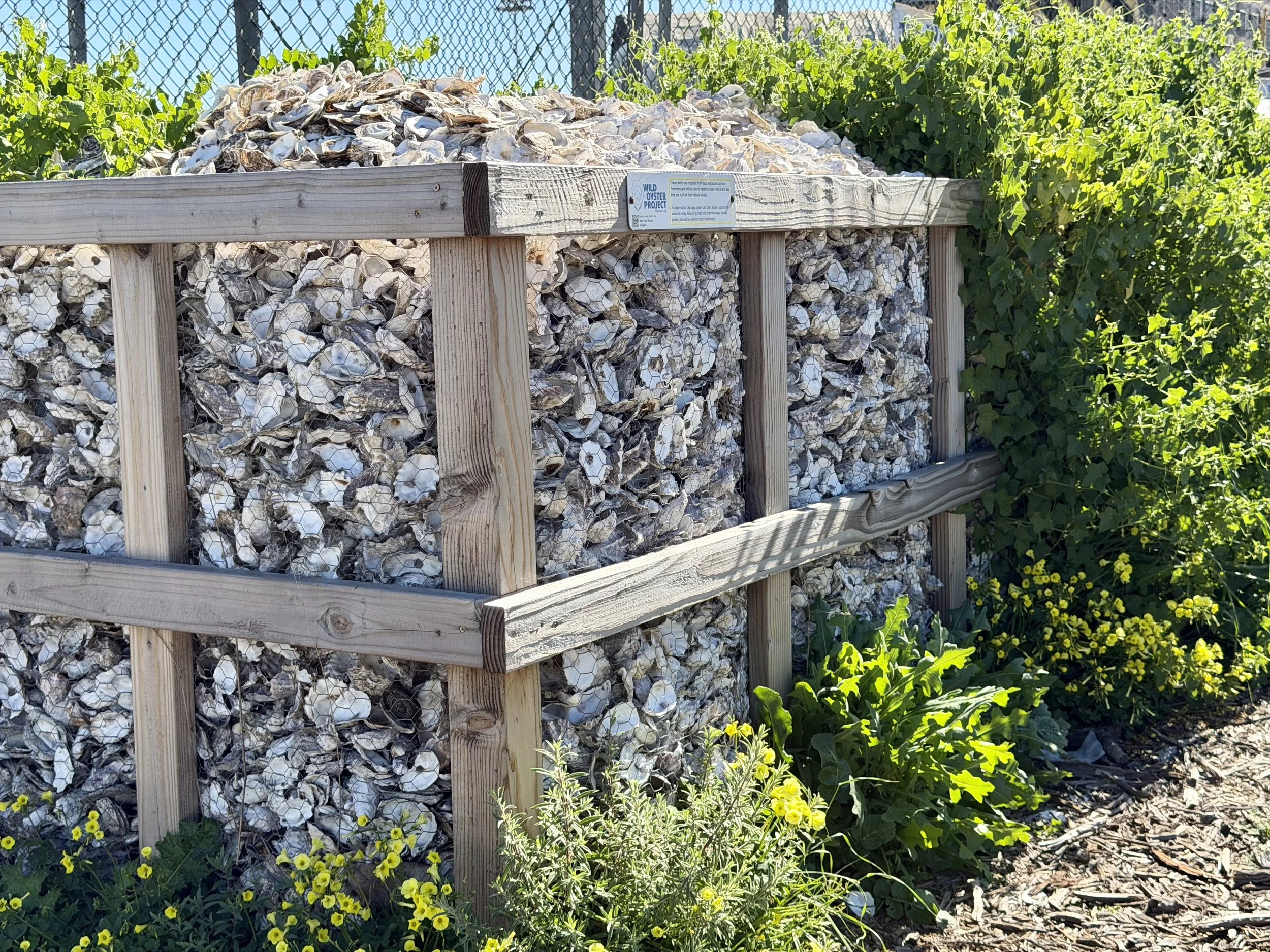Oyster Shell Move &amp; Nature Walk at Heron's Head Park