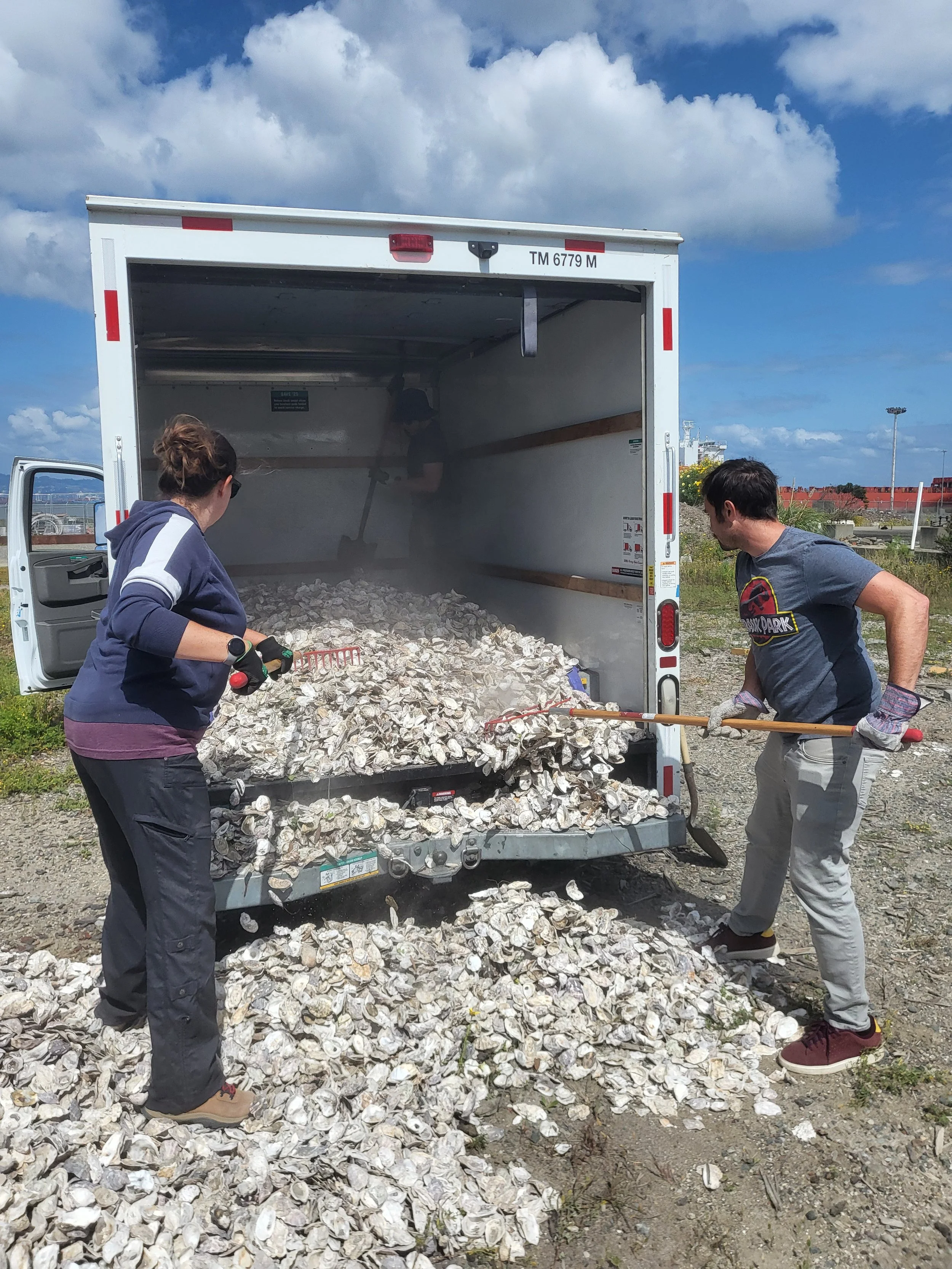 Monthly Volunteer Work Day (SF)