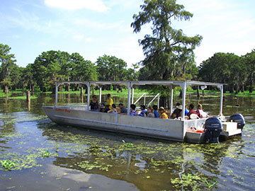 Henderson mcgeeslanding-swamp-tour-boat.jpg