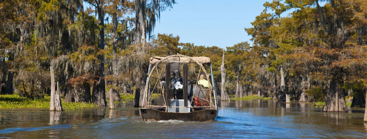 Swamp Tour in Henderson at McGee's Landing