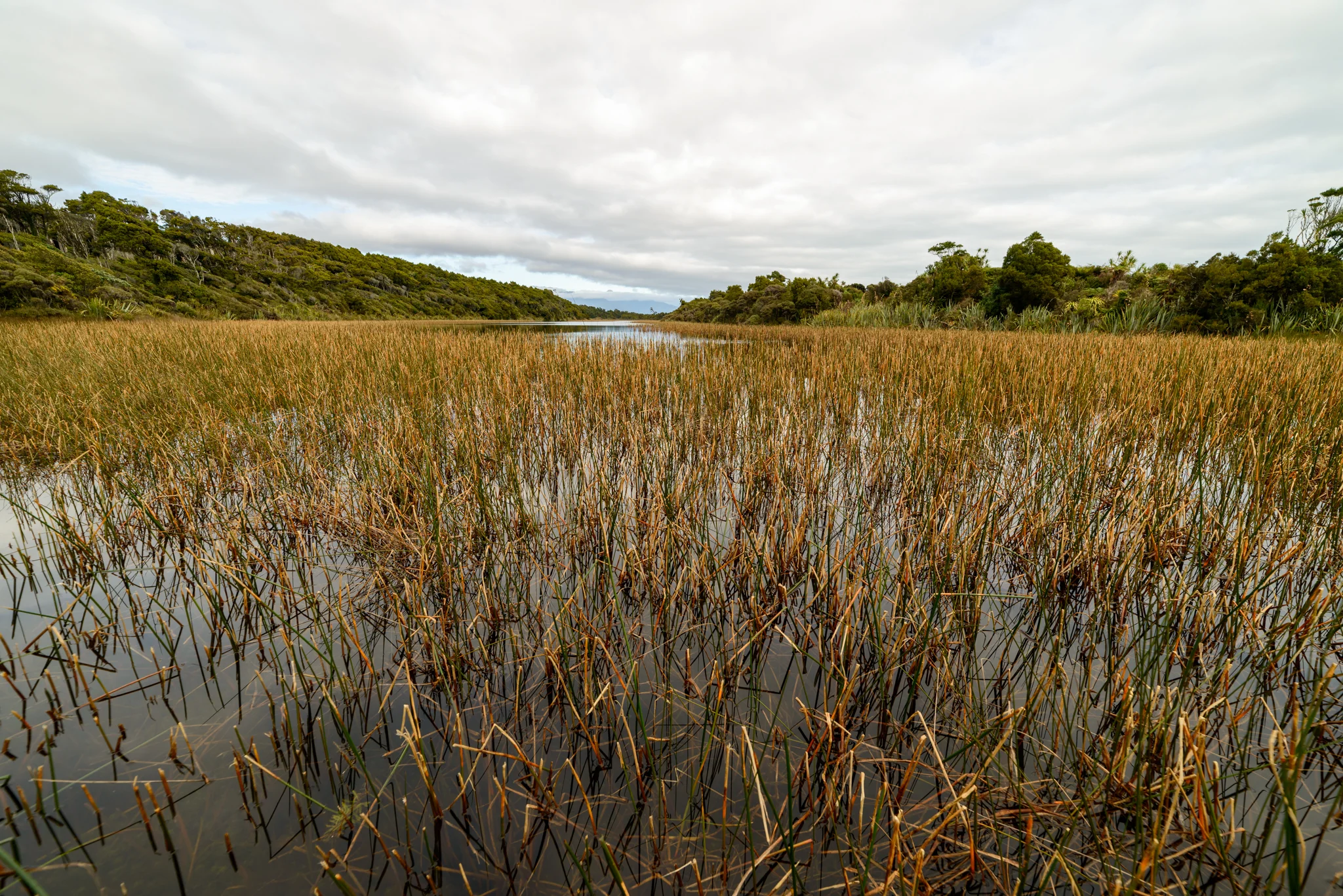 Dune lake, Ship Creek