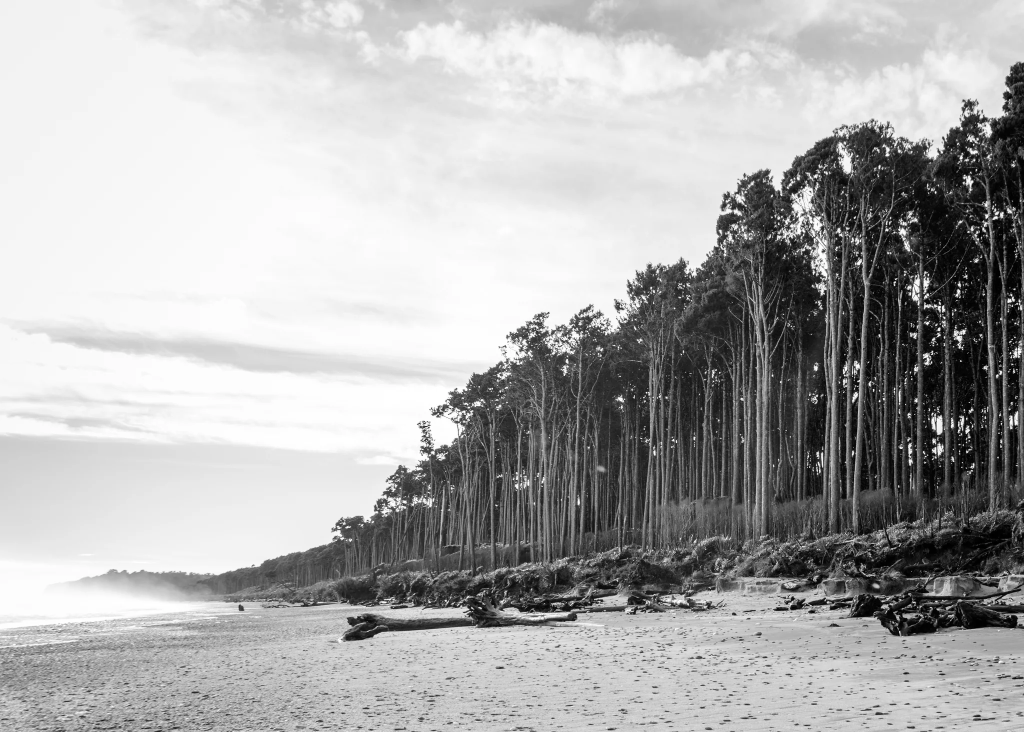 Bruce Bay