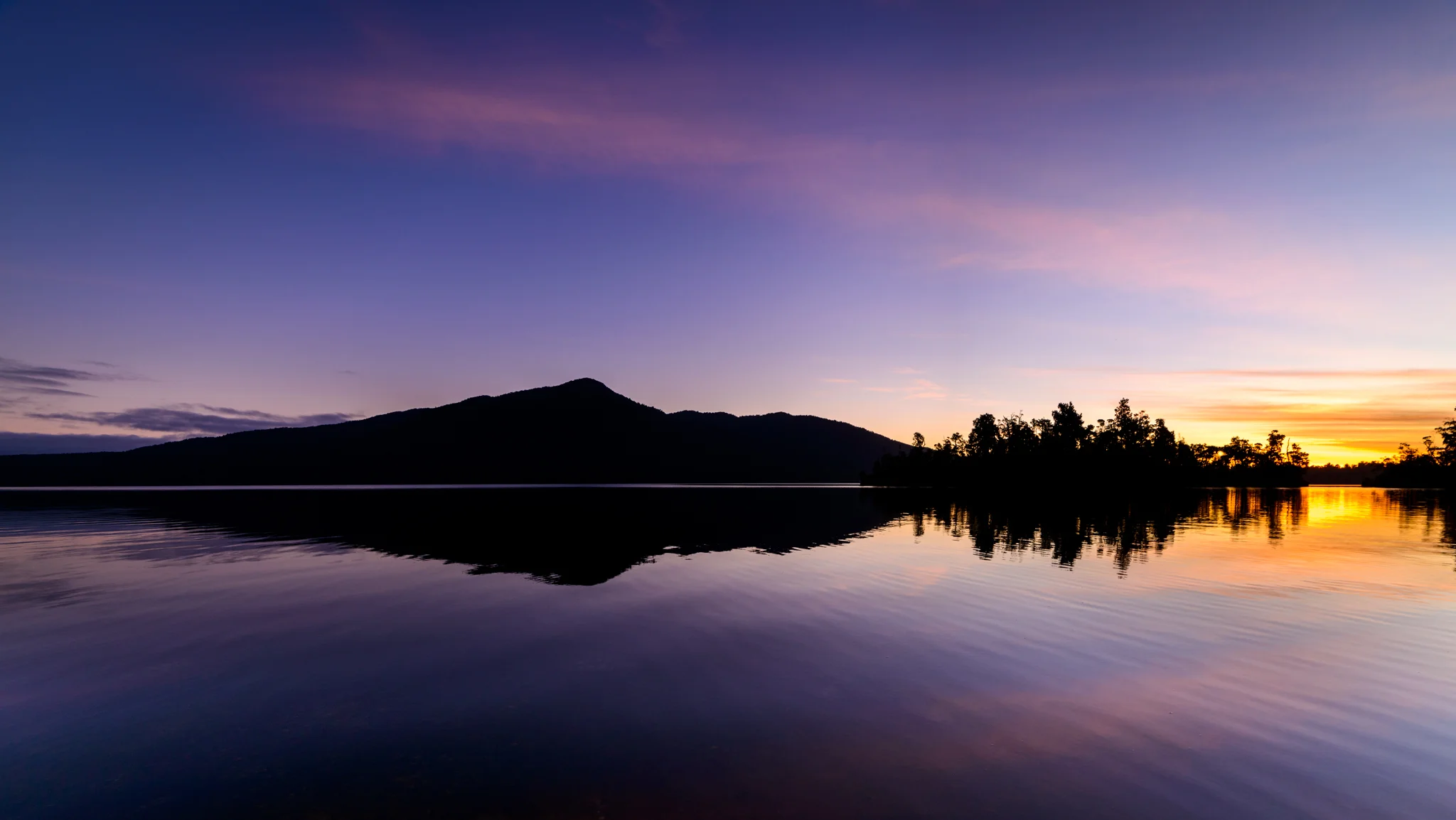 "Turning Purple into Gold" Lake Kaniere, West Coast, New Zealand D800, ISO100, f8, 14mm, 1/40sec