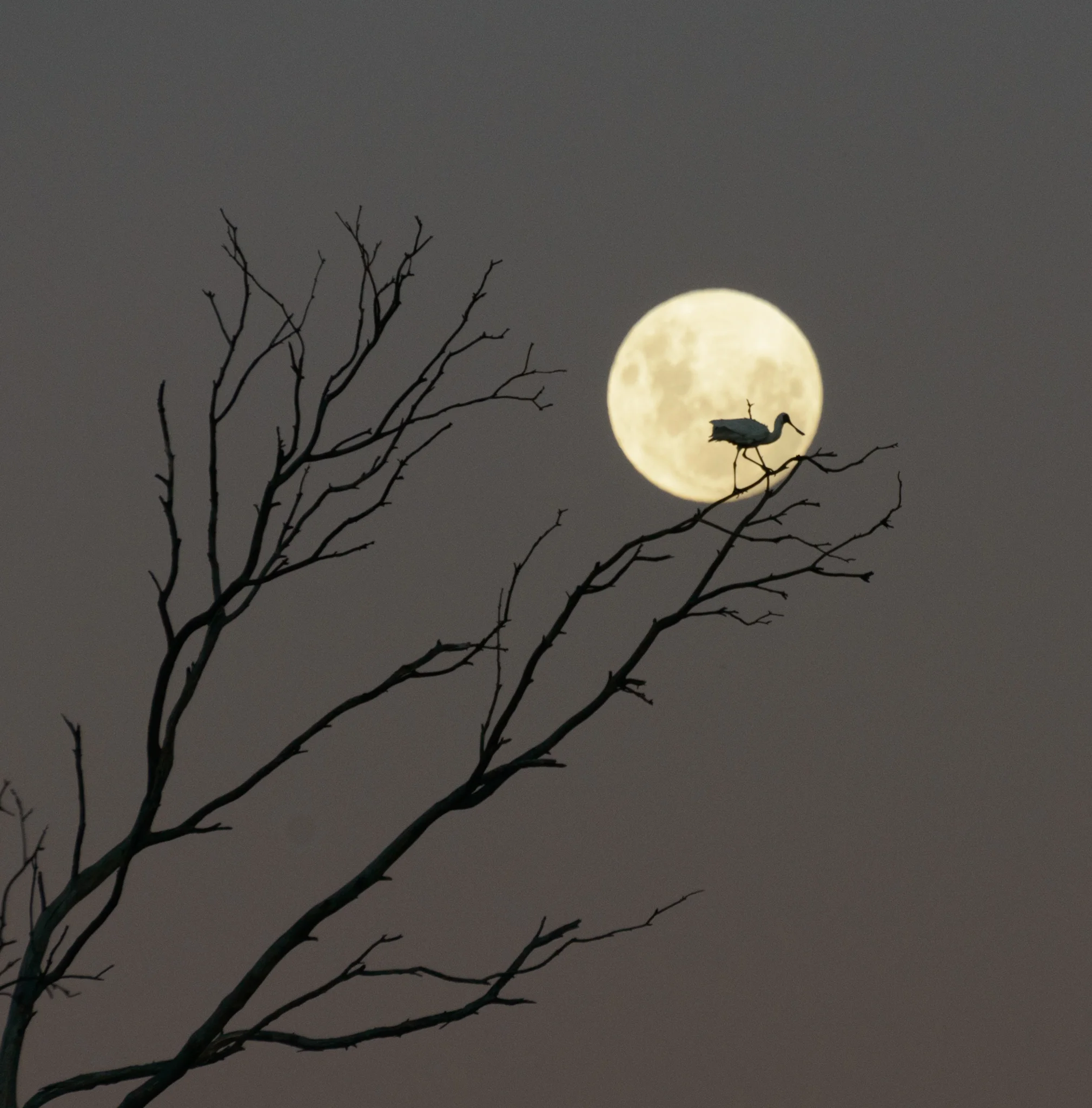 DSC_0119-2.jpg