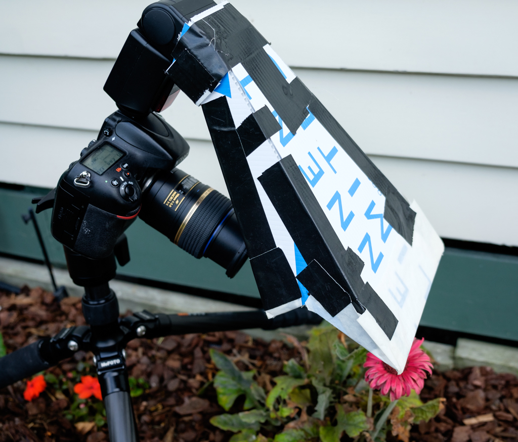 Nikon D800 with 90mm macro lens, Yongnuo flash on top, and custom deflector / diffuser to point the light from the flash onto the flower.