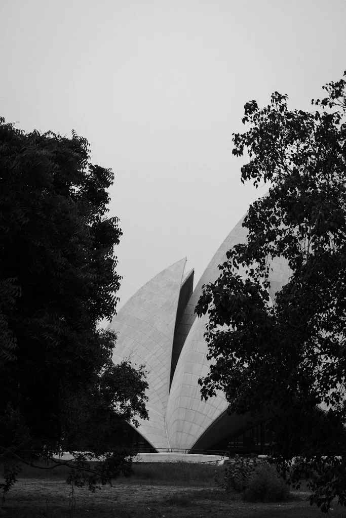 AJC04216-2.jpg