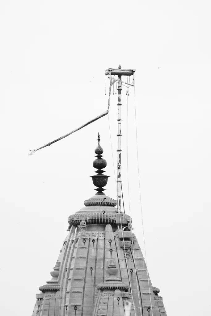 AJC04585.jpg