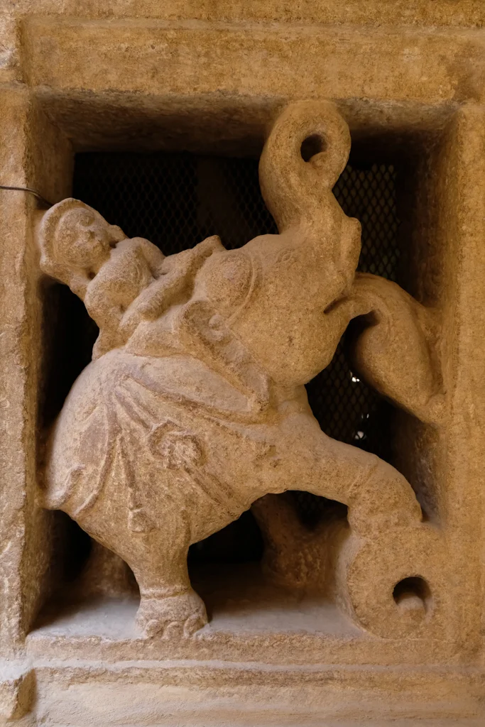 AJC04794.jpg