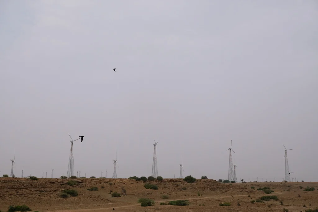 AJC05060.jpg