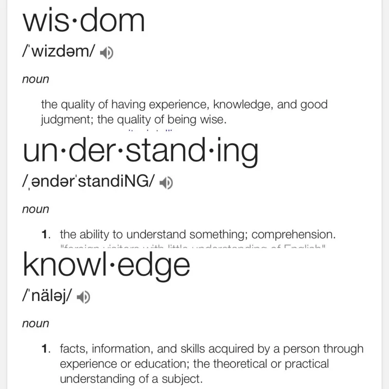 knowledge_wisdom_understanding.jpg