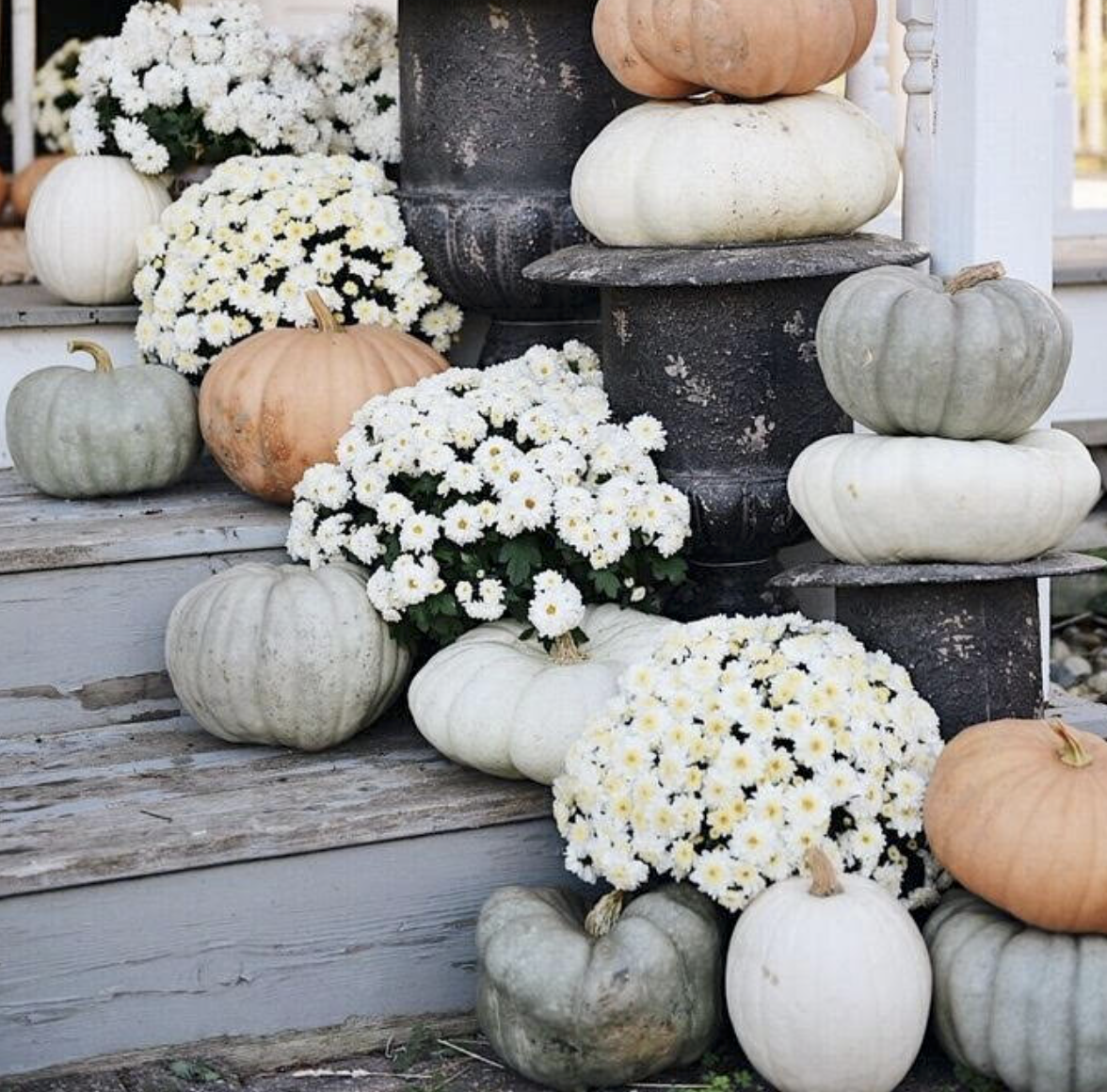 Friday Finds: Step Into Fall 