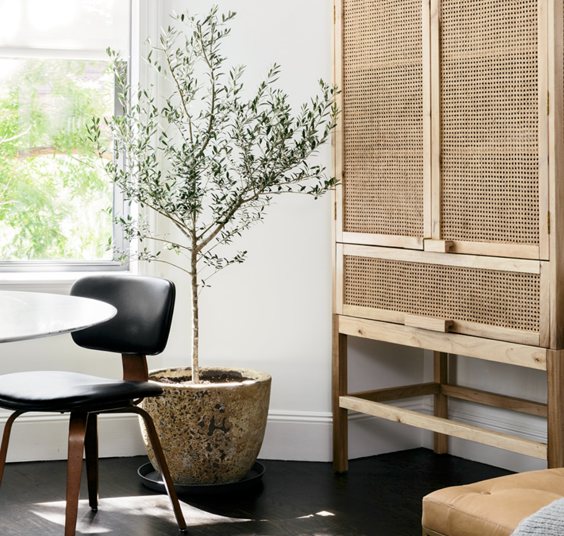 Trending Now: Cane Furniture