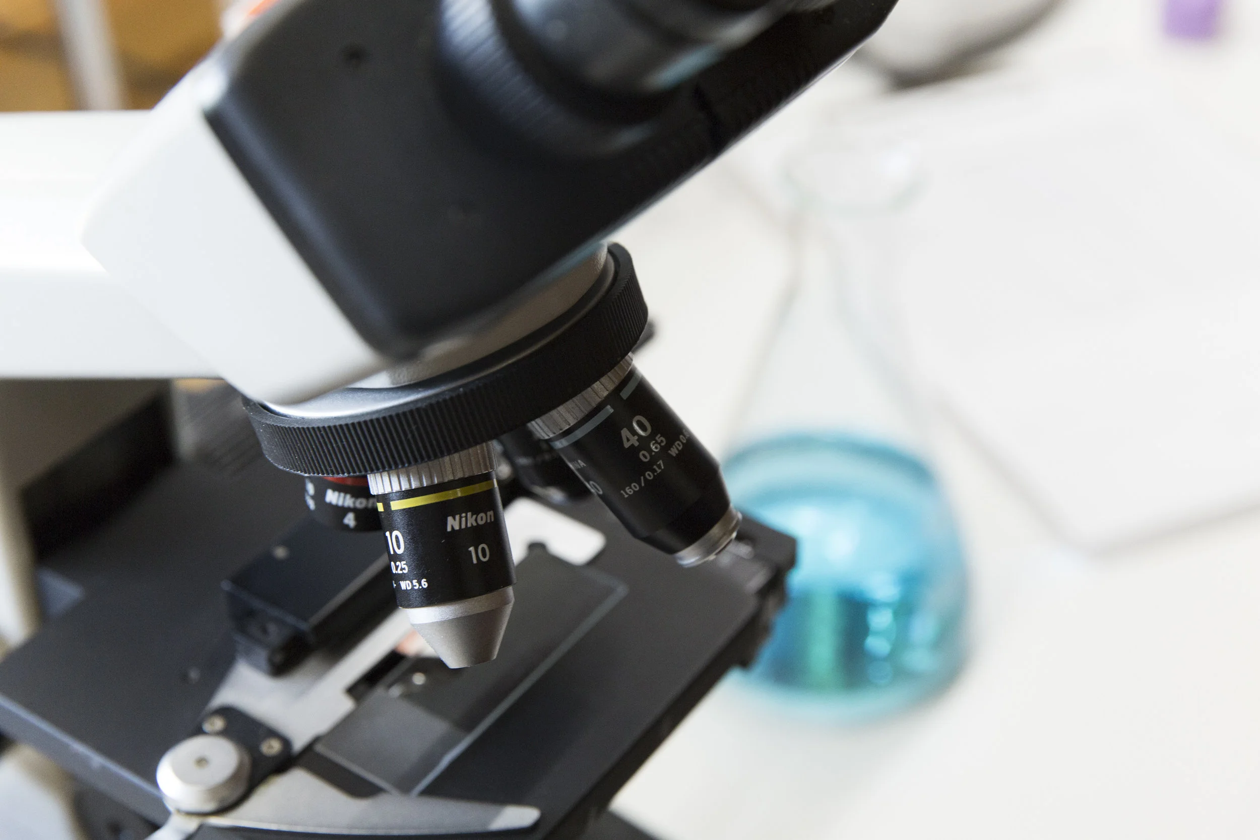 LAB PHOTOS71.jpg