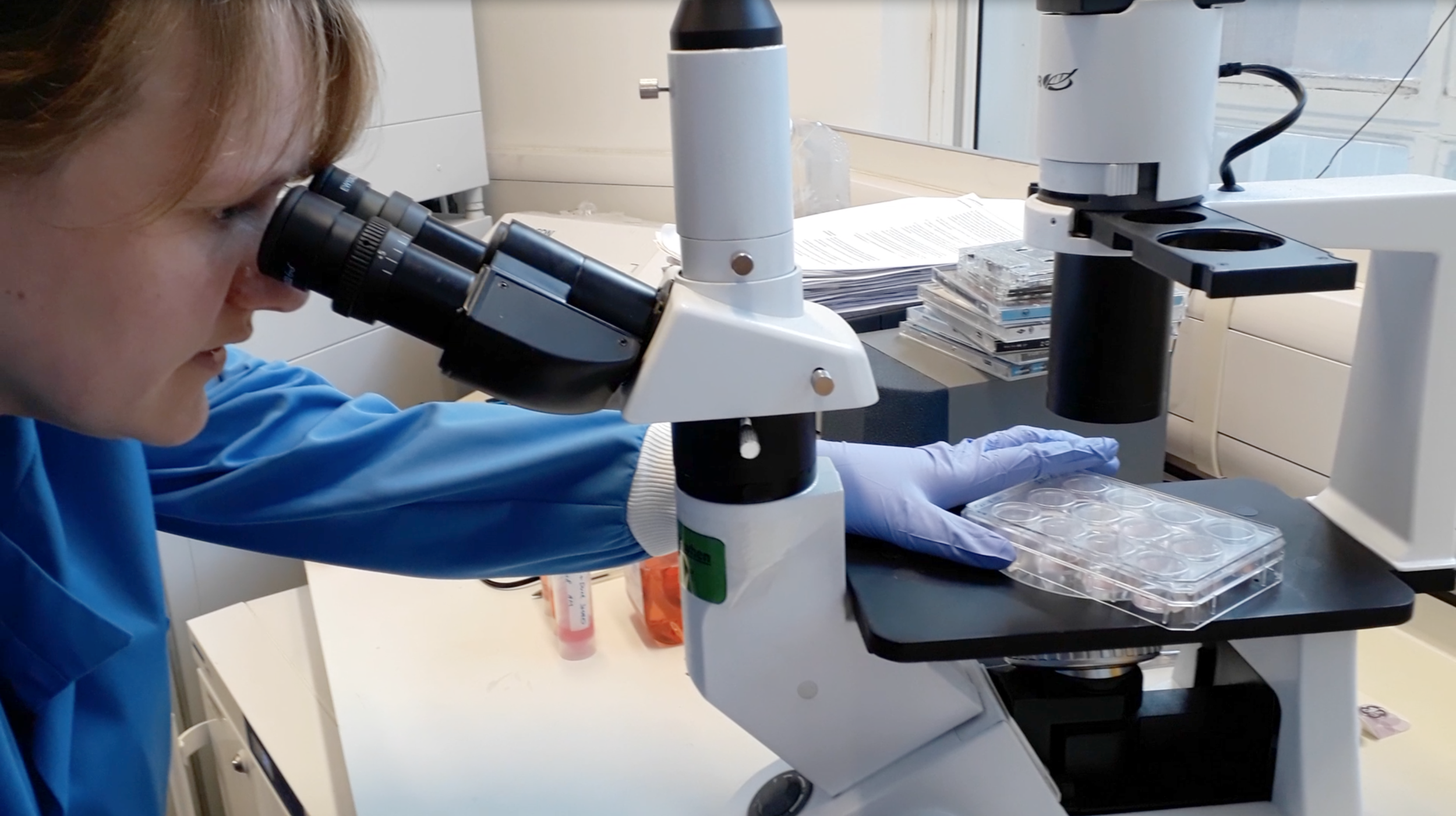 Selina Wray in her lab inspecting skin cells taken from our team. 