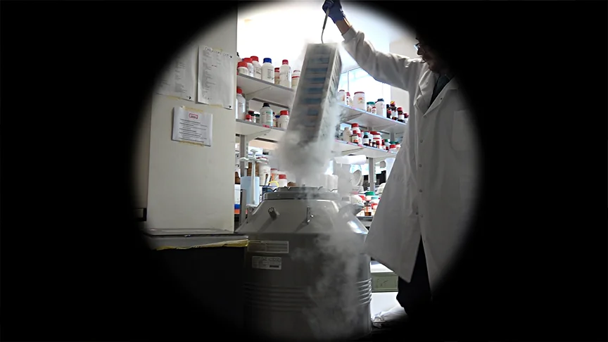 Dementia researcher Christopher Lovejoy freezing down!