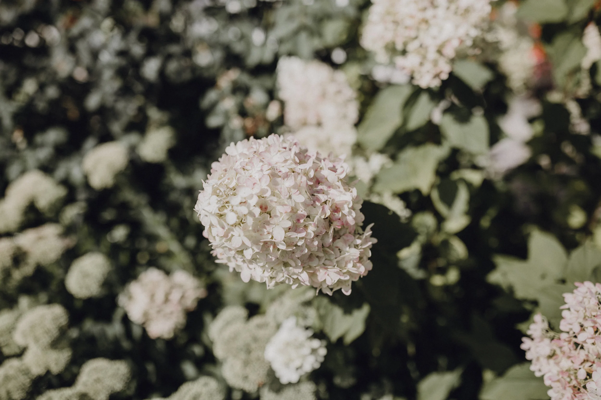 _12A7675.jpg