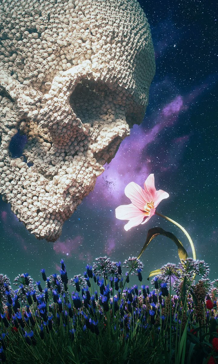 death stops to smell the flowers.jpg