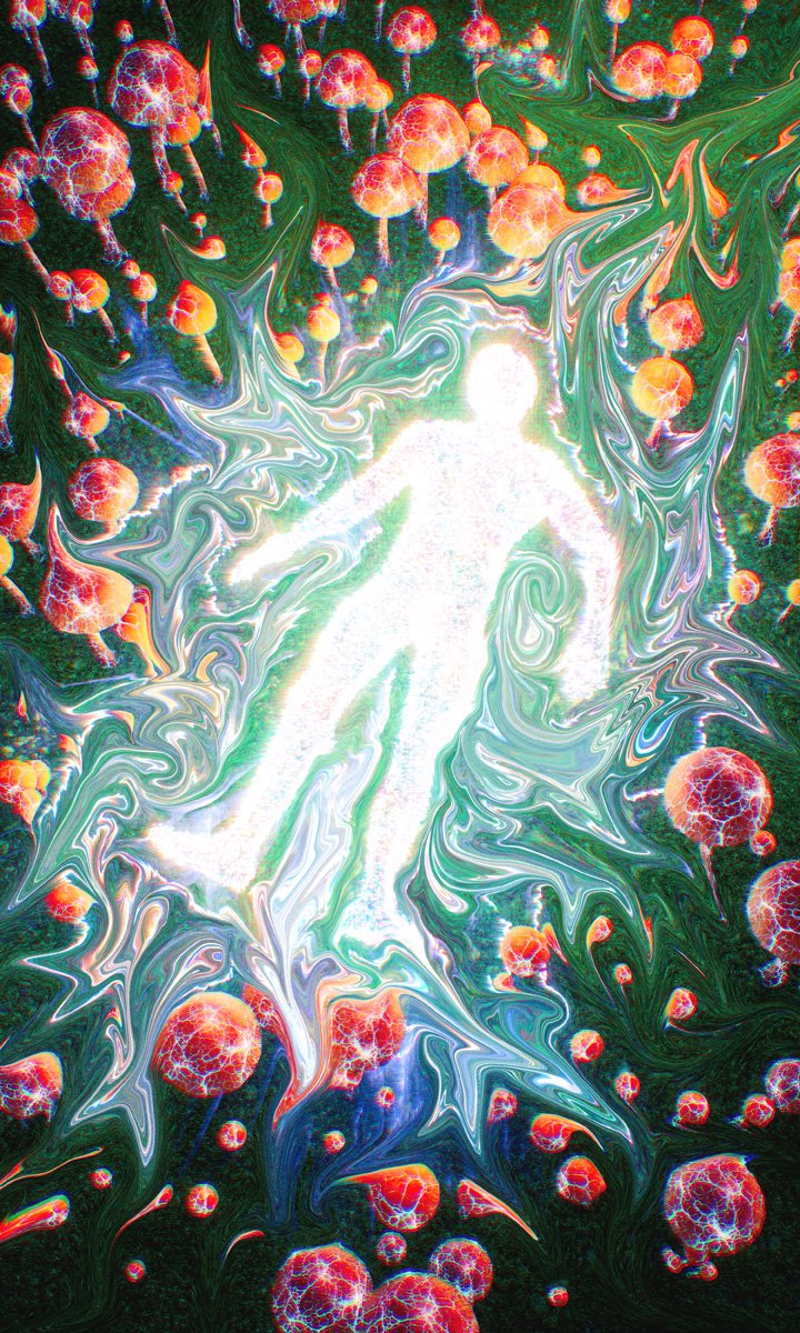 Laying Shrooms.jpg