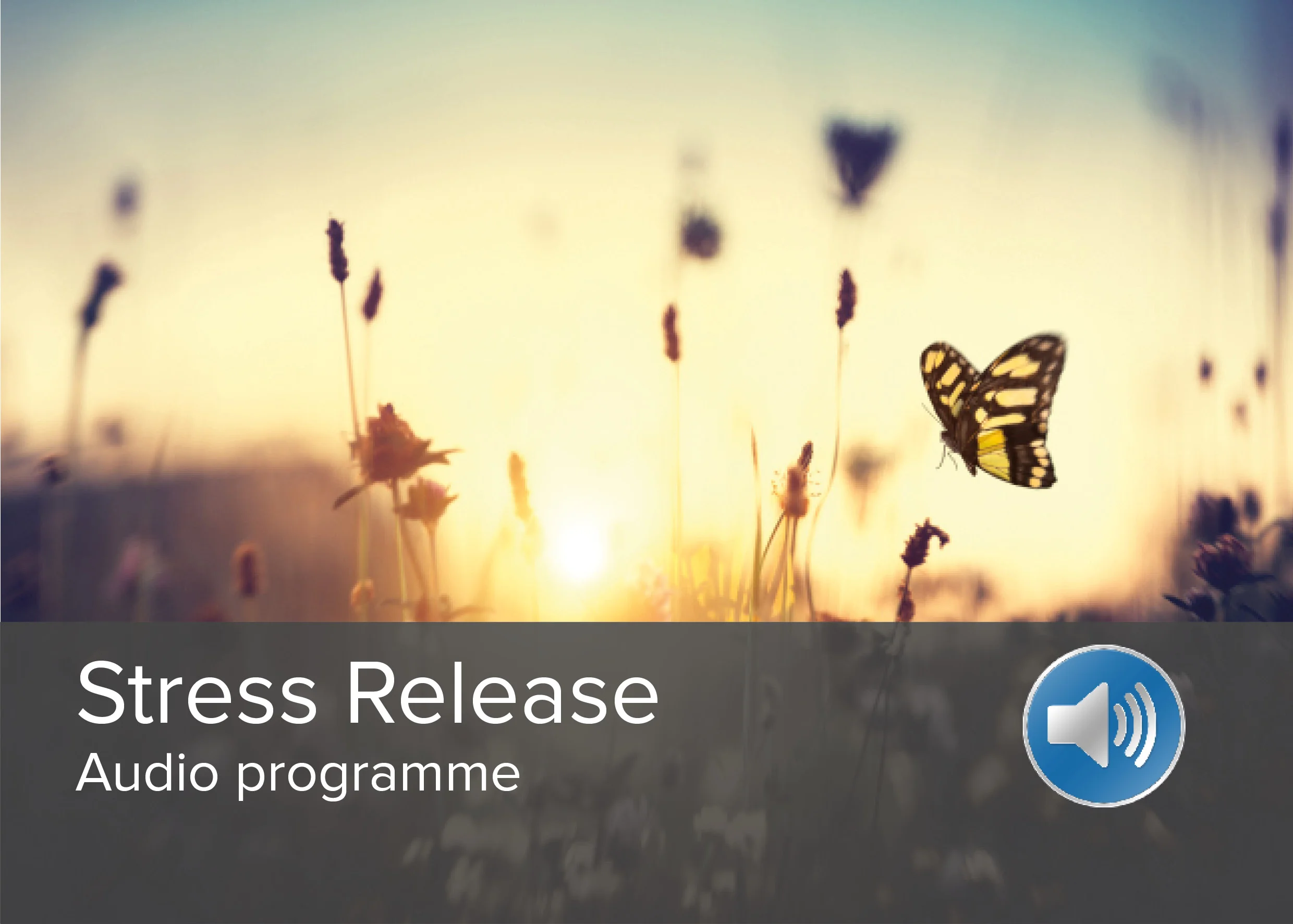 Stress Release Audio Programme