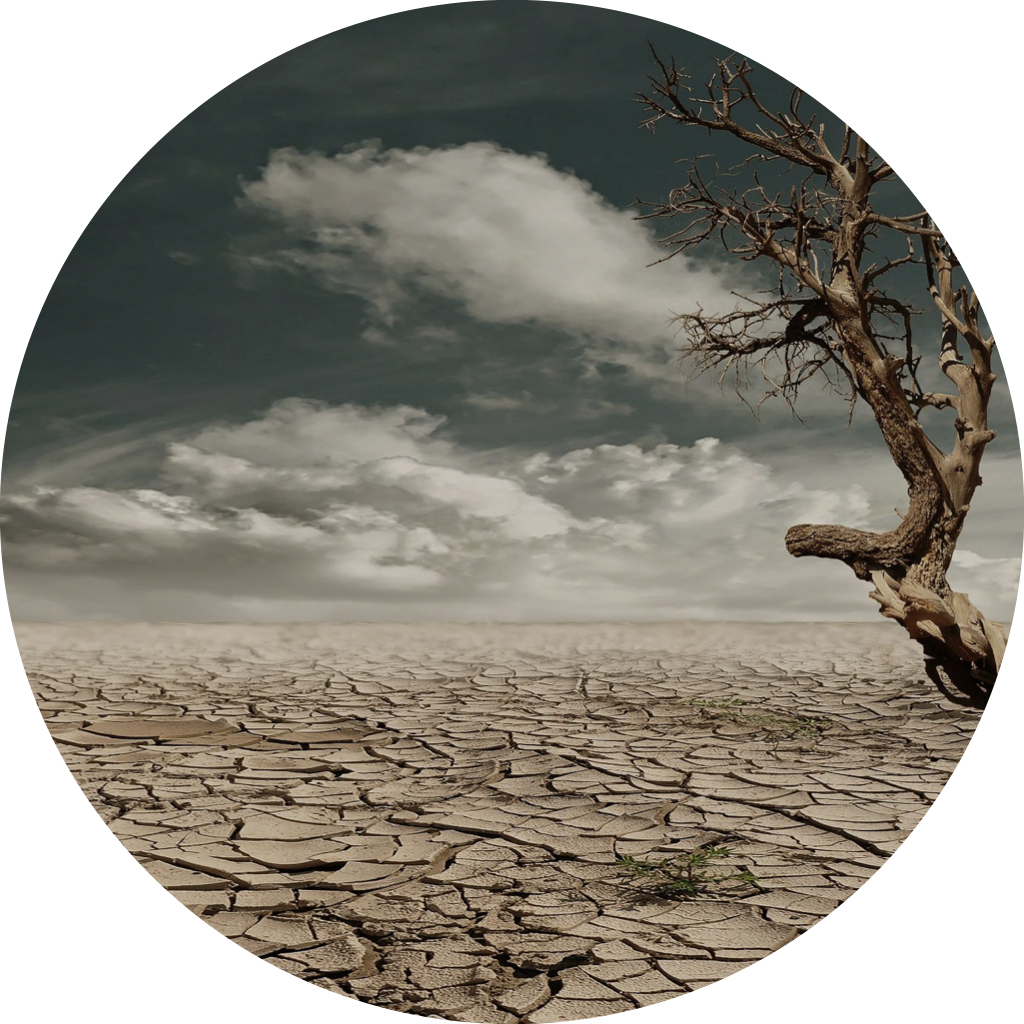 Fotos klanten testimonials.010.jpeg