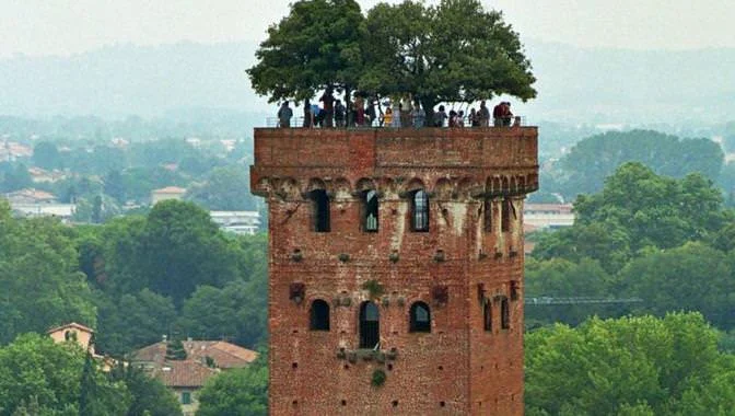 lucca1.jpg