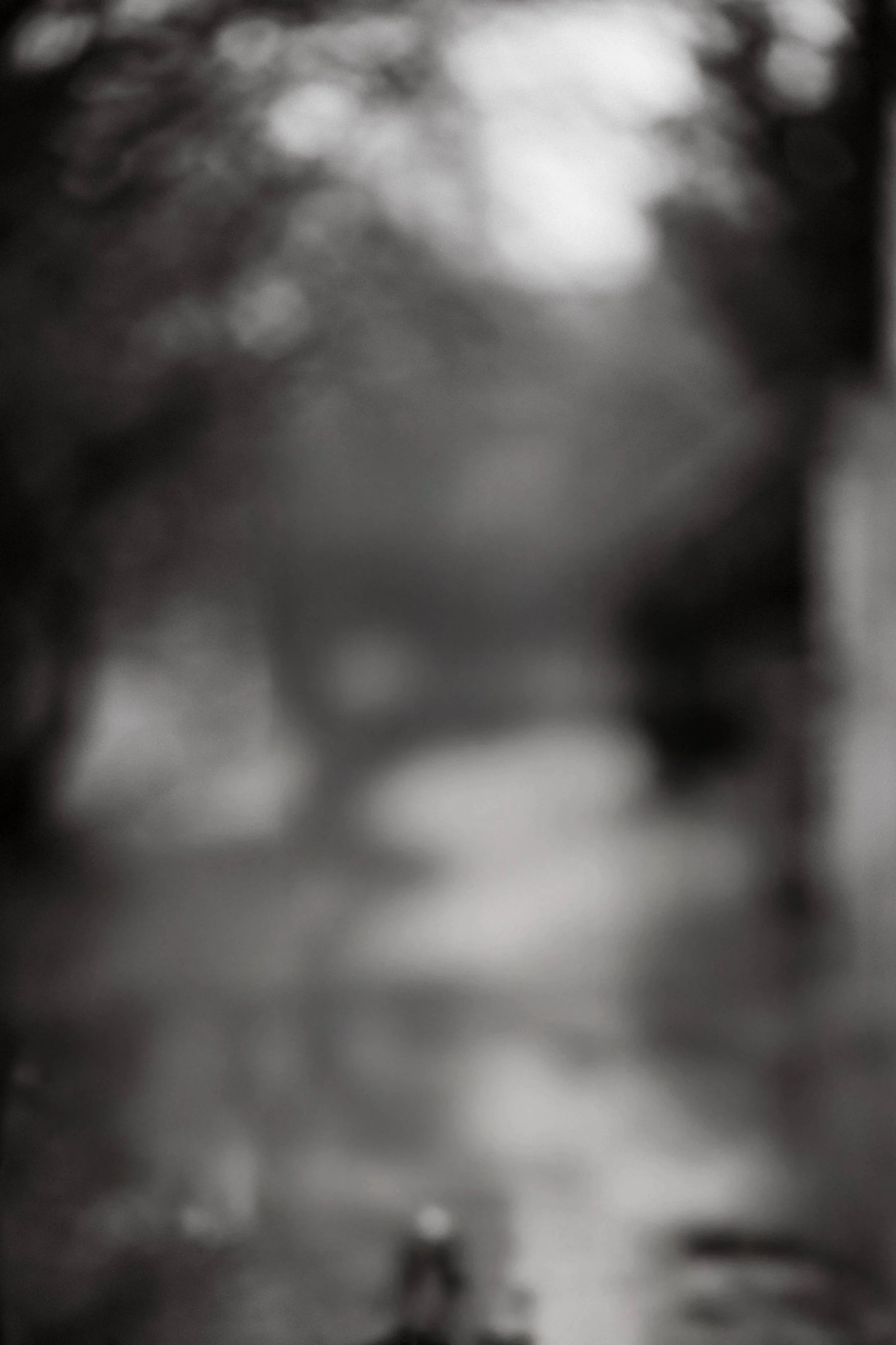 Callum_Sian_Engagement-34.jpg