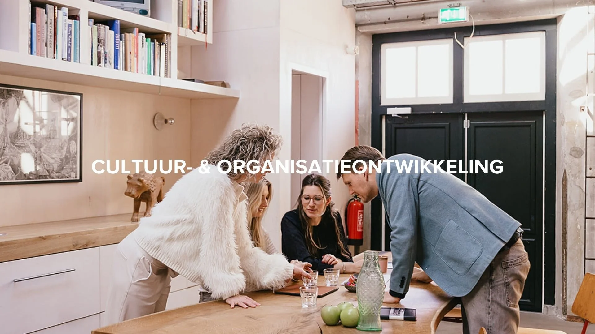 Cultuur- &amp; Organisatieontwikkeling