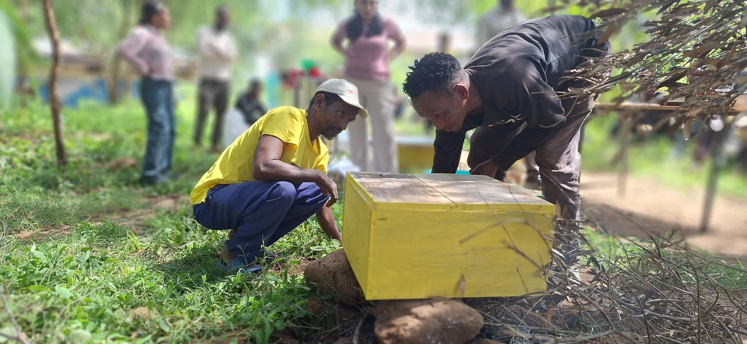 Fera Gossa - Modern beekeeping training - practice.jpg