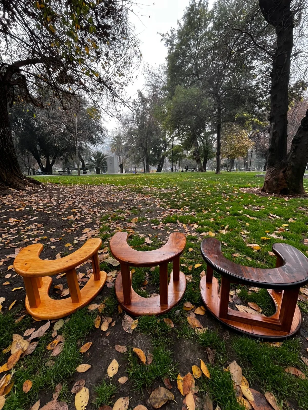Sillas de parto 1.jpeg