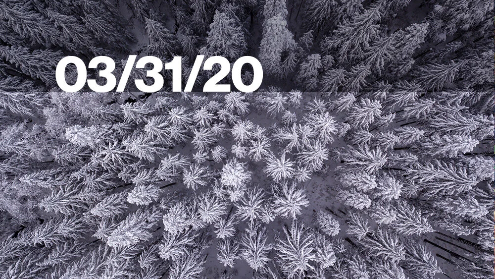 Let the Redeemed of the Lord say so