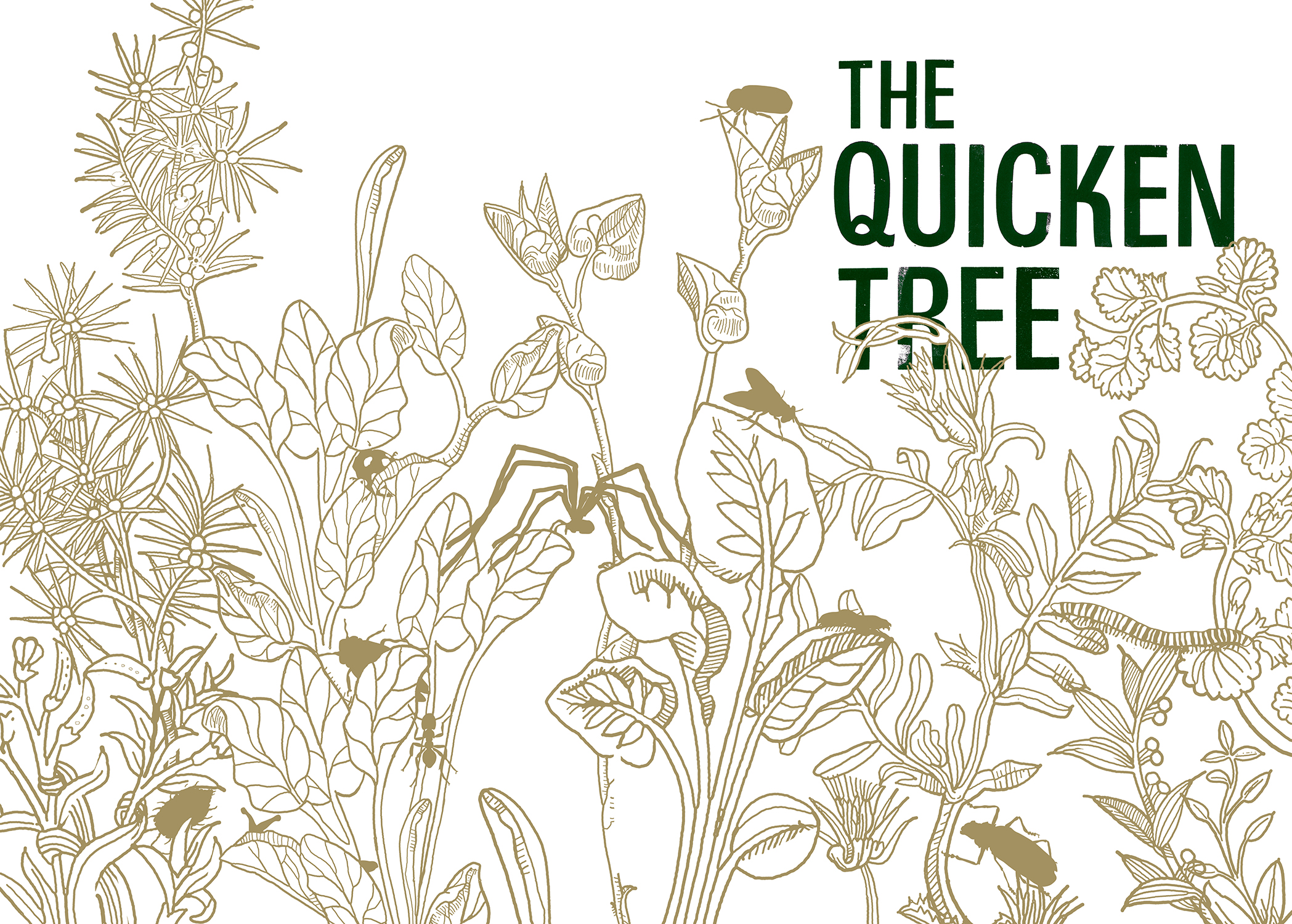 The Quicken Tree