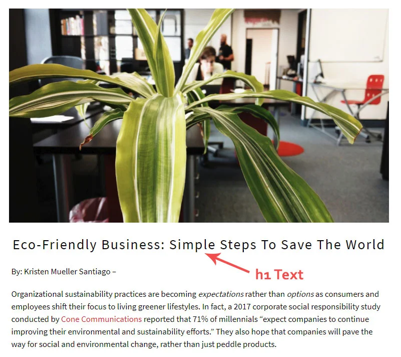 Example of header 1 (h1) text