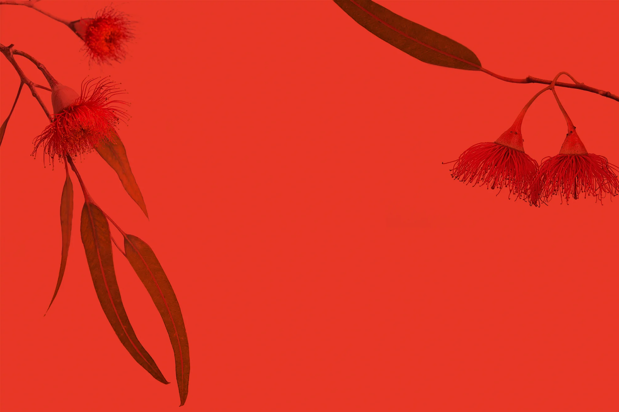 Header_Homepage.jpg
