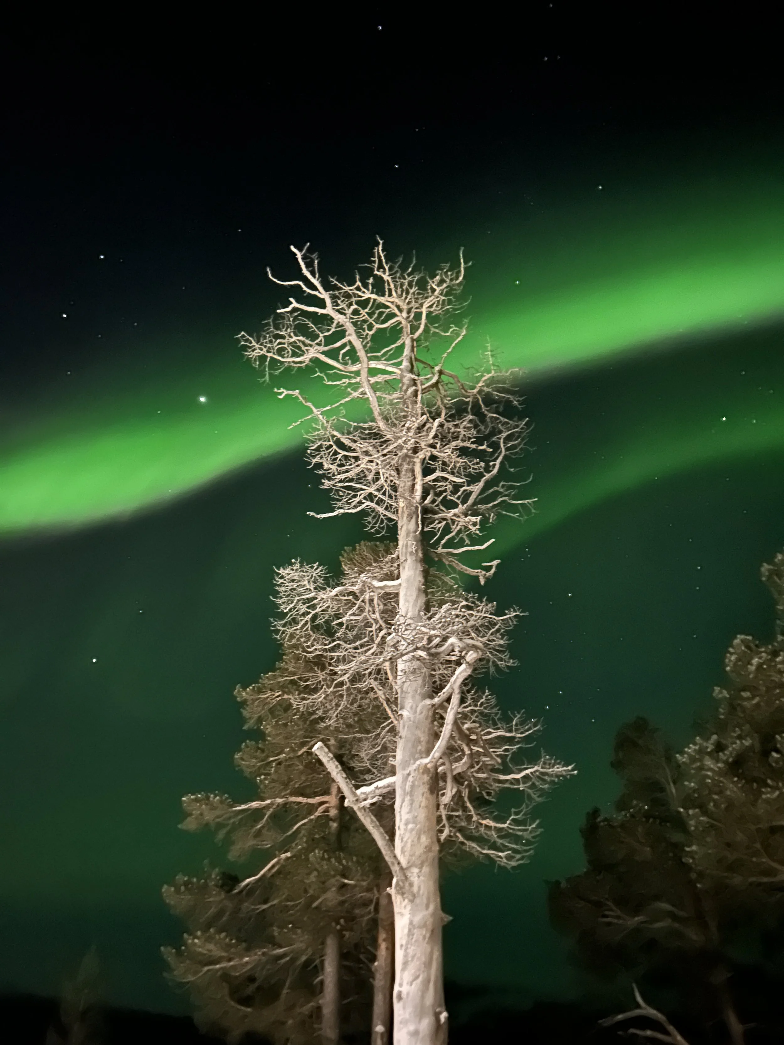 Photo 16-02-2026, 19 03 14.jpg